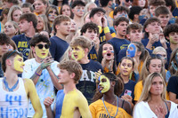 DVH_fans_12