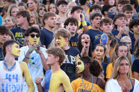 DVH_fans_13