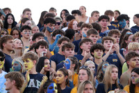 DVH_fans_15
