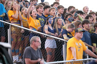 DVH_fans_17