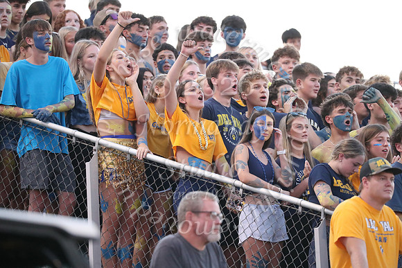 DVH_fans_18