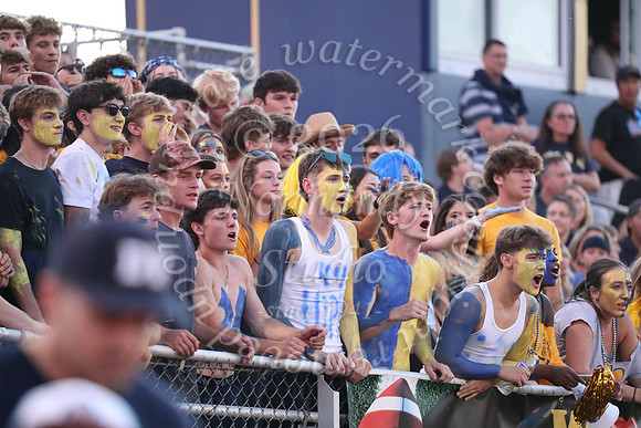 DVH_fans_20