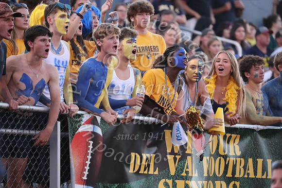 DVH_fans_21
