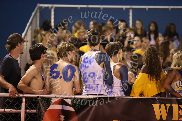 DVH_fans_24
