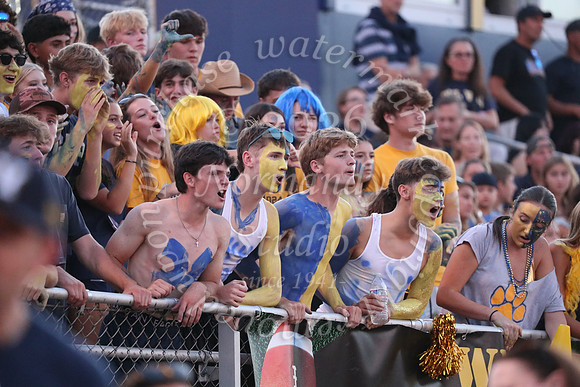 DVH_fans_23