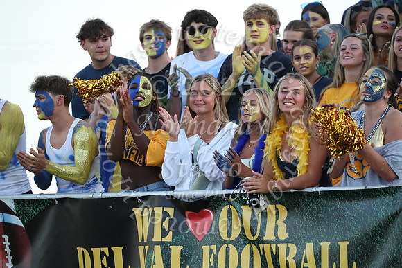 DVH_fans_02