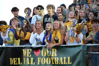 DVH_fans_01