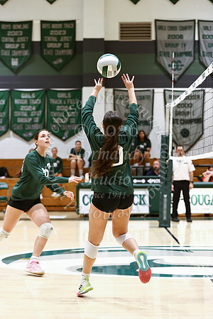 vb_g_104