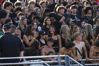 HCH_fans_13