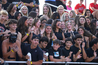 HCH_fans_19