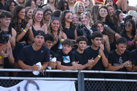 HCH_fans_20