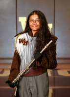 WTG_mb_ind_7