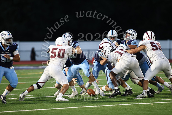 WMC_fb_7