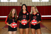 BER_vb-g-v-t_15