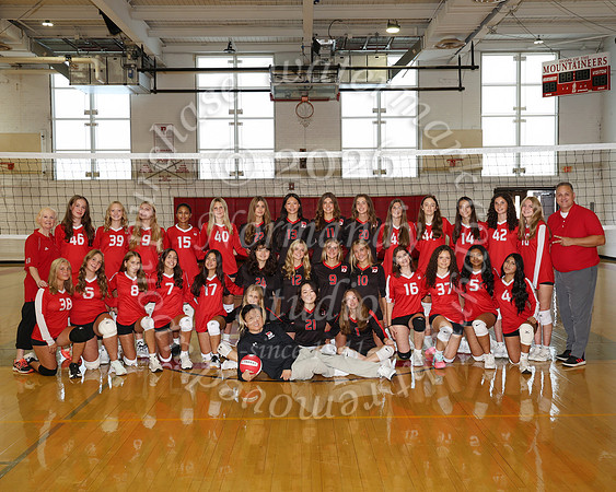 BER_vb-g-combined-t_06