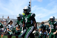 CNH_fb_18