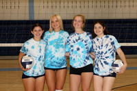 WMC_vb-g-v-t_12