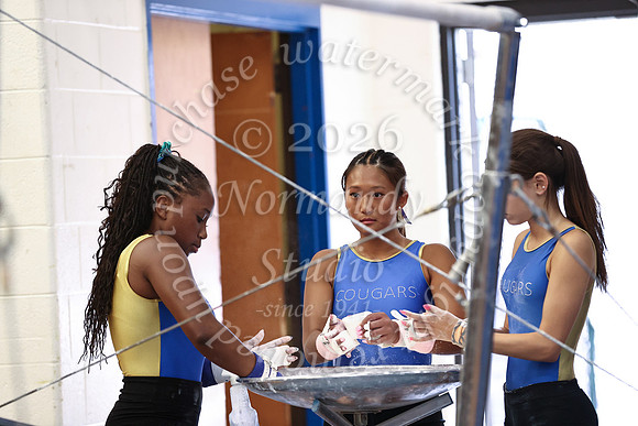 CHS_GY_1