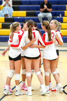 BER_vb-g_08