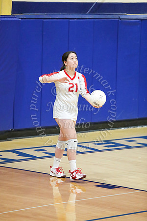 BER_vb-g_65