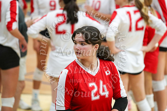 BER_vb-g_06