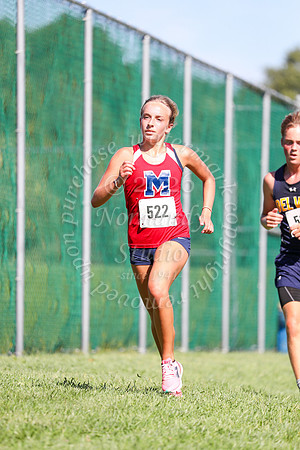 MSM_cc_20