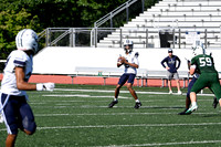 SHP_fb-f_06