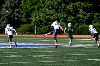 SHP_fb-f_10