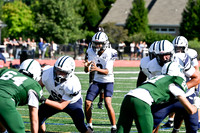 SHP_fb-f_11