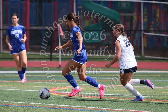 WHS_so-g_09