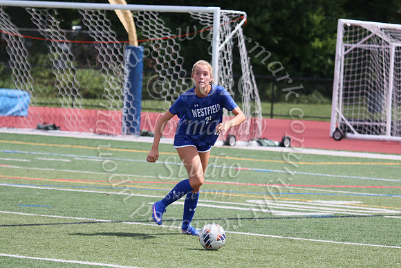 WHS_so-g_12
