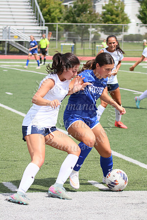 WHS_so-g_72
