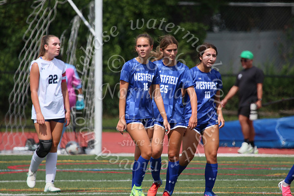 WHS_so-g_04