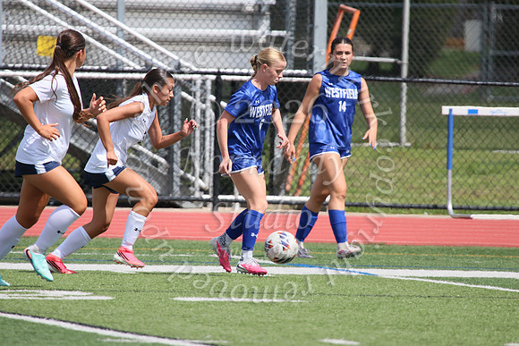 WHS_so-g_06