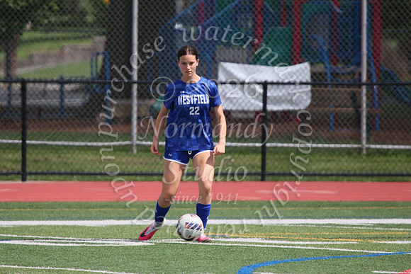 WHS_so-g_07