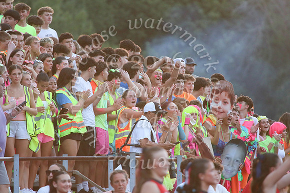 MNP_fans_58