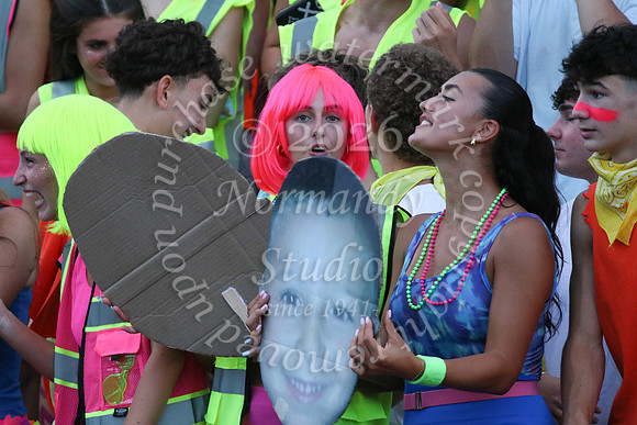 MNP_fans_77