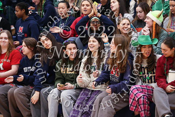 MSM_peprally_6