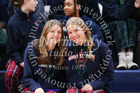 MSM_peprally_9