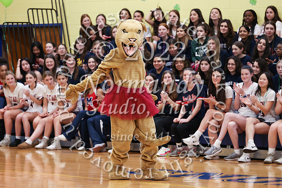 MSM_peprally_48