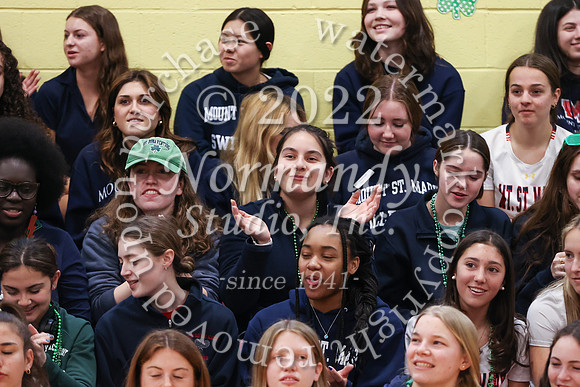 MSM_peprally_65