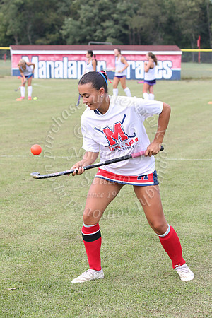 MNP_fh_45