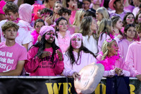 DVH_fans_12