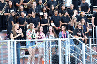 SVL_mb_in_stands_08