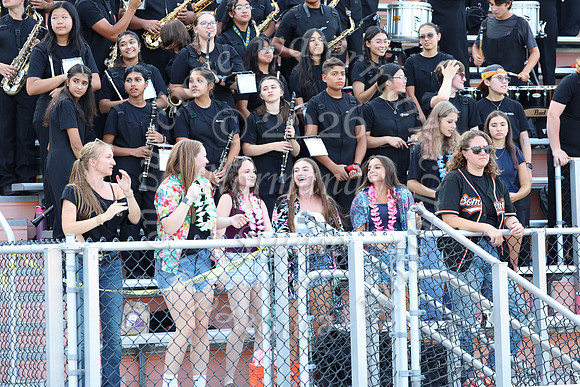 SVL_mb_in_stands_08