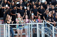 SVL_mb_in_stands_10