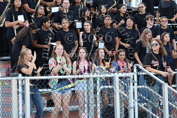 SVL_mb_in_stands_10