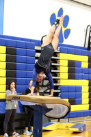 WHS_gy_15