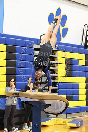 WHS_gy_15