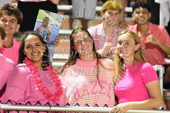 SVL_fans_20
